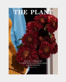 theplant10